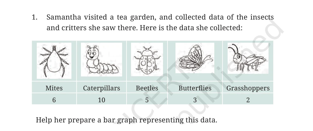 NCERT Class 6 Maths Chapter 4, question 19