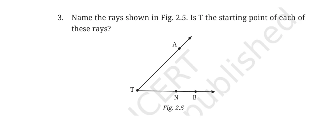 NCERT Class 6 Maths Chapter 2, question 3