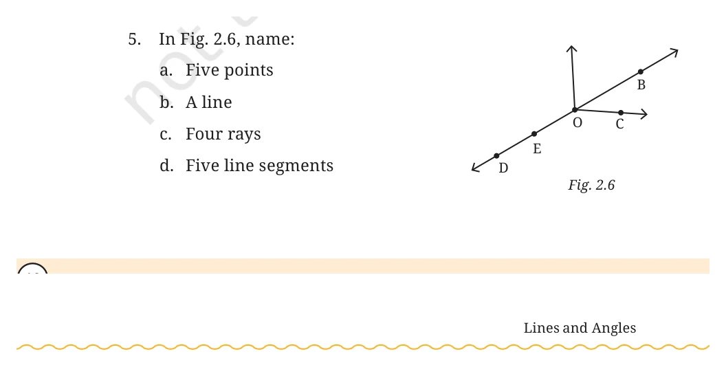 NCERT Class 6 Maths Chapter 2, question 5