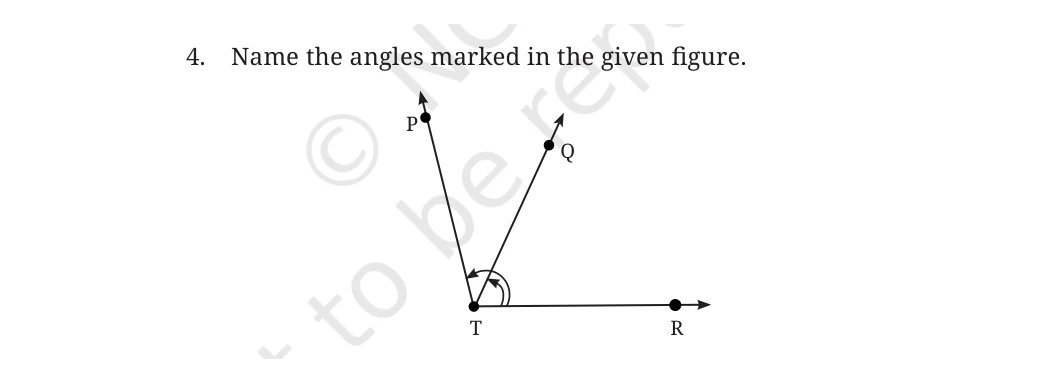 NCERT Class 6 Maths Chapter 2, question 9