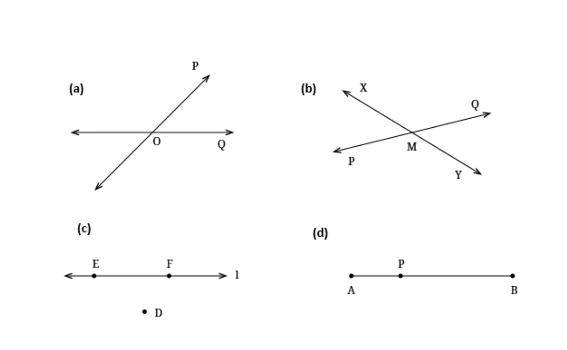 Source worked solution for Class 6 Chapter 2, question 4, part 2