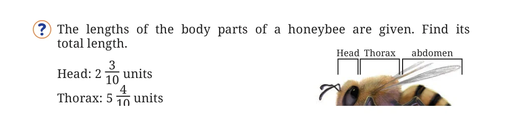 NCERT Class 7 Maths Chapter 3, solved question 9
