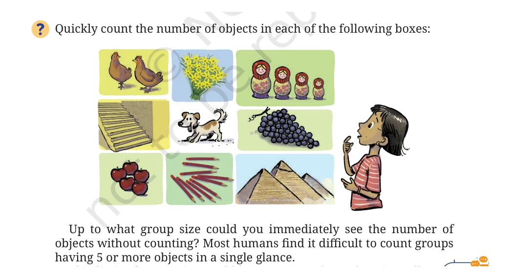 NCERT Class 8 Maths Chapter 3, solved question 9
