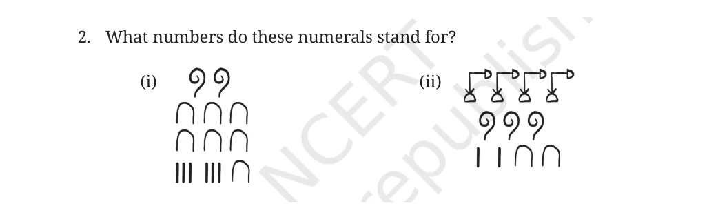 NCERT Class 8 Maths Chapter 3, solved question 20