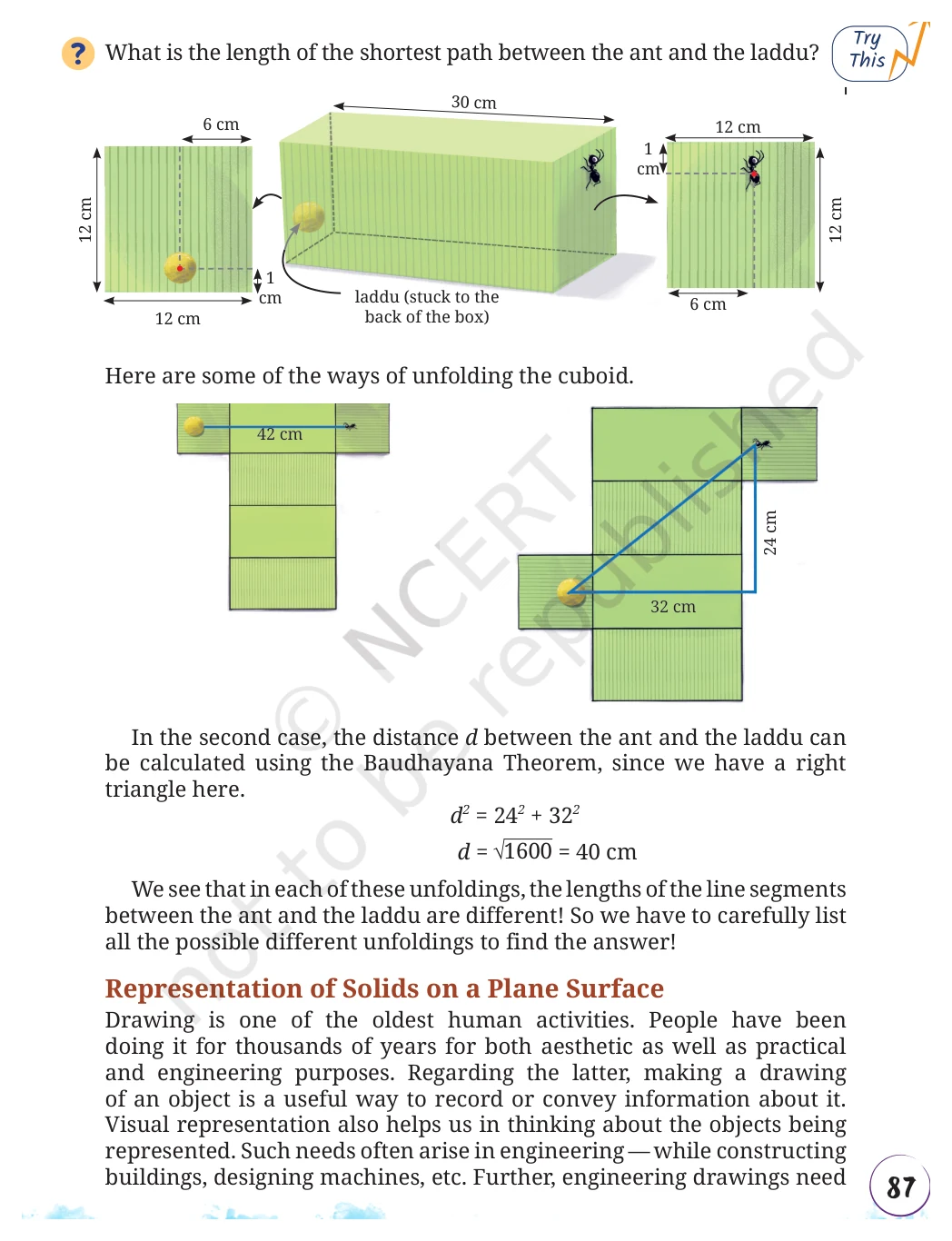 NCERT Class 8 Maths Chapter 11, solved question 39
