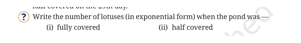 NCERT Class 8 Maths Chapter 2, solved question 10