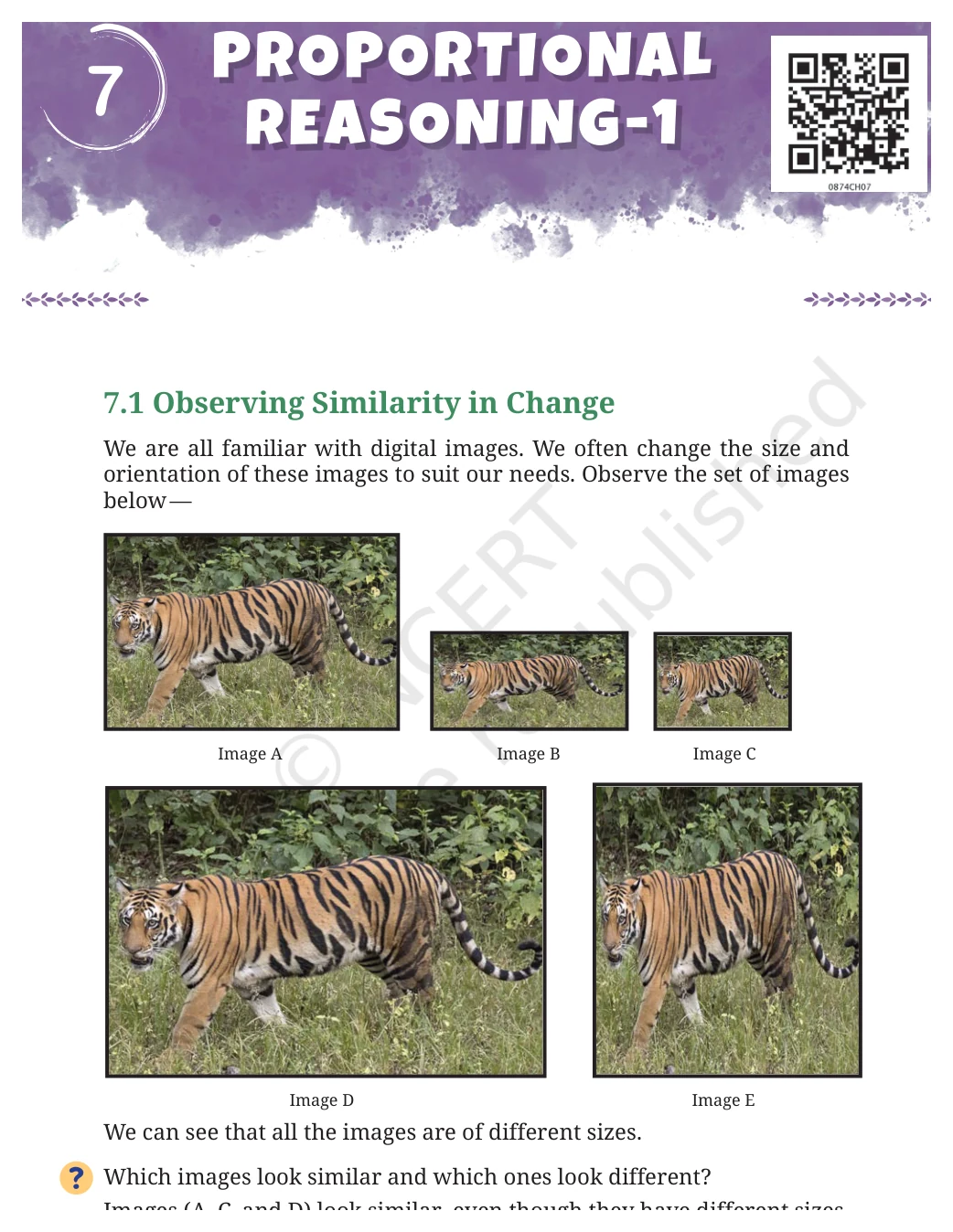 NCERT Class 8 Maths Chapter 7, solved question 1
