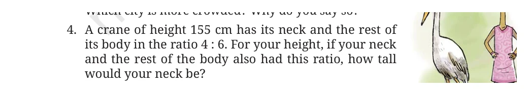 NCERT Class 8 Maths Chapter 7, solved question 41